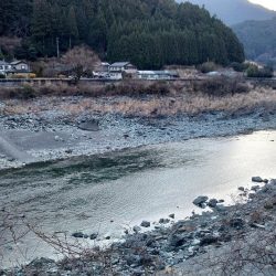 危うくボウズになるとこだった ～天竜川ルアーフライ専用区～